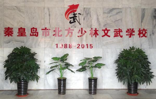 秦皇島北方少林文武學(xué)校就業(yè)如何？這答案你放心！