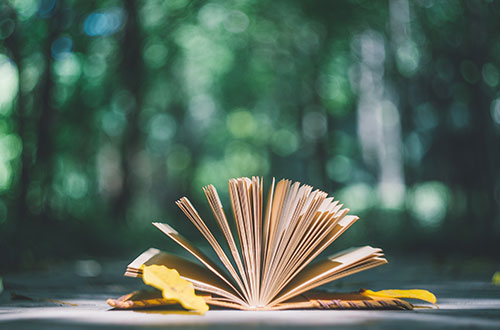 石家莊華能電力學(xué)校訂單班都有什么專業(yè)？