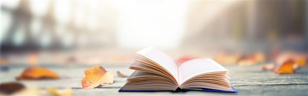 攝圖網(wǎng)_500500037_banner 攝圖網(wǎng)_500500037_banner