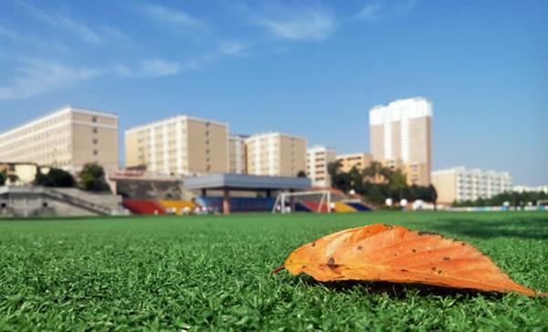 河北省科技工程學(xué)校大專(zhuān)專(zhuān)業(yè)有哪些？