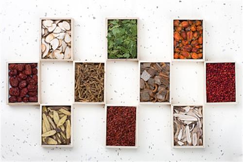 山東醫(yī)藥技師學(xué)院中藥系專業(yè)有哪些？