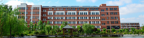 834382923620210323163941_5904 834382923620210323163941_5904