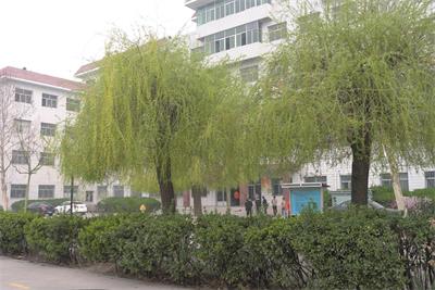 在保定去哪里學(xué)習(xí)鐵路乘務(wù)專(zhuān)業(yè)？   