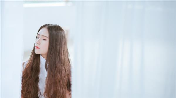 石家莊東方學(xué)院都開設(shè)了哪些專業(yè)？