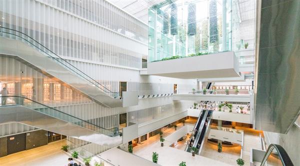 石家莊迅騰軟件學(xué)院都開設(shè)哪些專業(yè)？