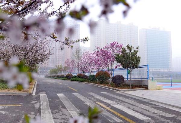 河北大學新世紀函授站成人高考輔導班怎么樣？