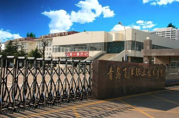 青島飛洋職業(yè)技術(shù)學(xué)院物流管理專業(yè)好嗎？