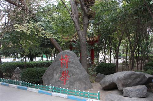  山東人民專修學(xué)院怎樣安排學(xué)生就業(yè)？