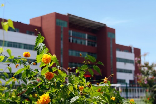 會計專業(yè)都學什么專業(yè)課程？