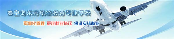 哪所學校開設(shè)了航空服務(wù)專業(yè)？