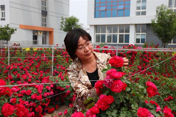 濰坊科技學(xué)院環(huán)境好嗎？