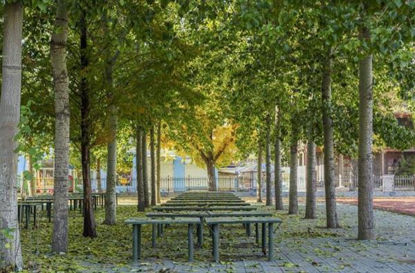 山東廣播電視大學(xué)成教學(xué)院航空分院都招什么樣的學(xué)生？