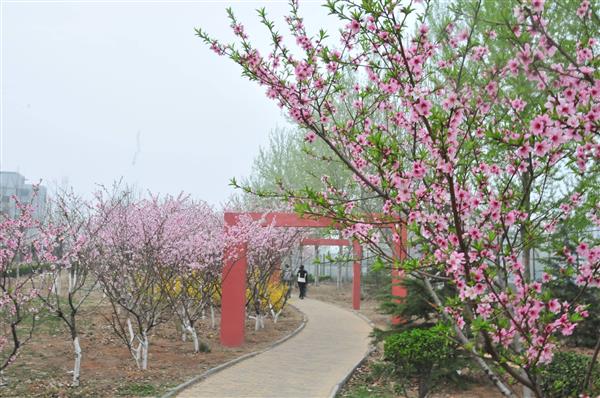 山東凱文科技職業(yè)學院都有哪些優(yōu)點？