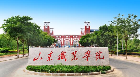 山東職業(yè)學(xué)院有哪些教學(xué)成果？