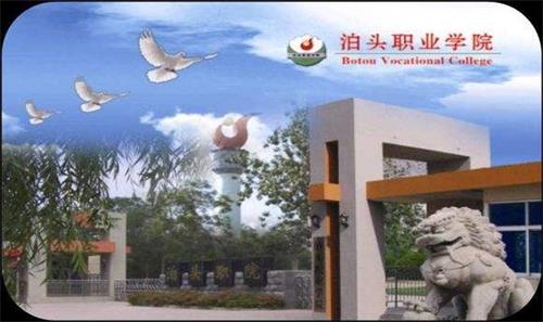 622596205220201228134816_7037 622596205220201228134816_7037