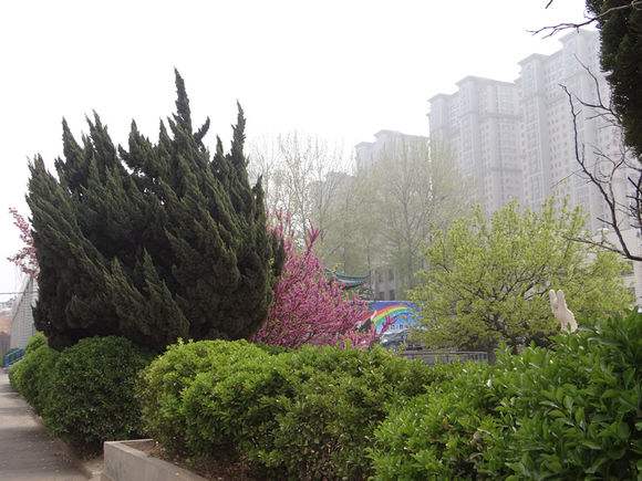 煙臺天虹學(xué)院怎么樣？