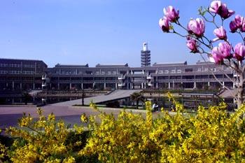 邯鄲華博中等專業(yè)學(xué)校師資怎么樣？