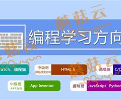 孩子為什么要盡早學(xué)習(xí)少兒編程。濟(jì)寧蘑菇云少兒編程