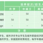 電氣化自動系