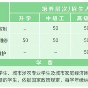 電氣化自動系