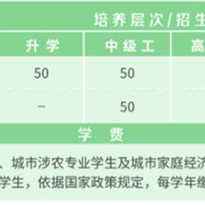 財(cái)經(jīng)商務(wù)系