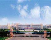 專(zhuān)業(yè)特色