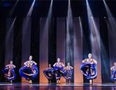 藝術(shù)專(zhuān)業(yè)