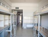 洛陽職業(yè)技術學院