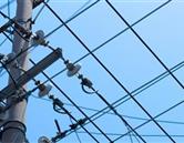 專(zhuān)業(yè)展示