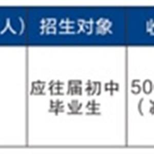 夏季高考班