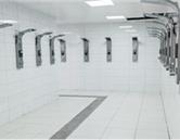 學(xué)校環(huán)境